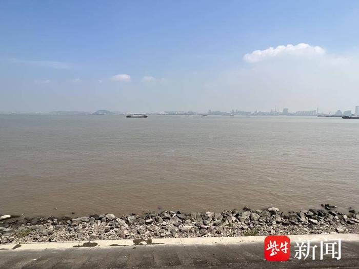 【高质量发展】靖江拥有52公里长江，最美岸线的背景是“黄胸鹀和江豚”