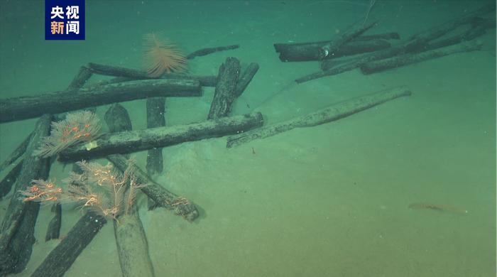 我国南海发现两处古代沉船，文物超十万件