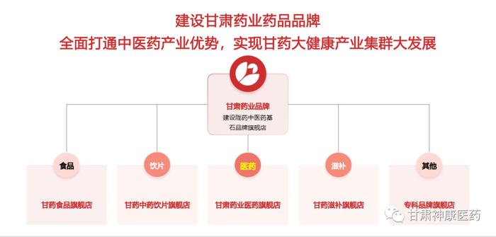 【神康新闻】甘肃药业集团营销中心谋划布局医药电商领域发展