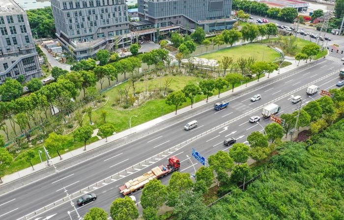 数字赋能让松江这家企业产值6年翻7倍，每小时能生产7200条吐司