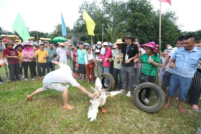 屯昌“屯长香”农旅盛会火热启动