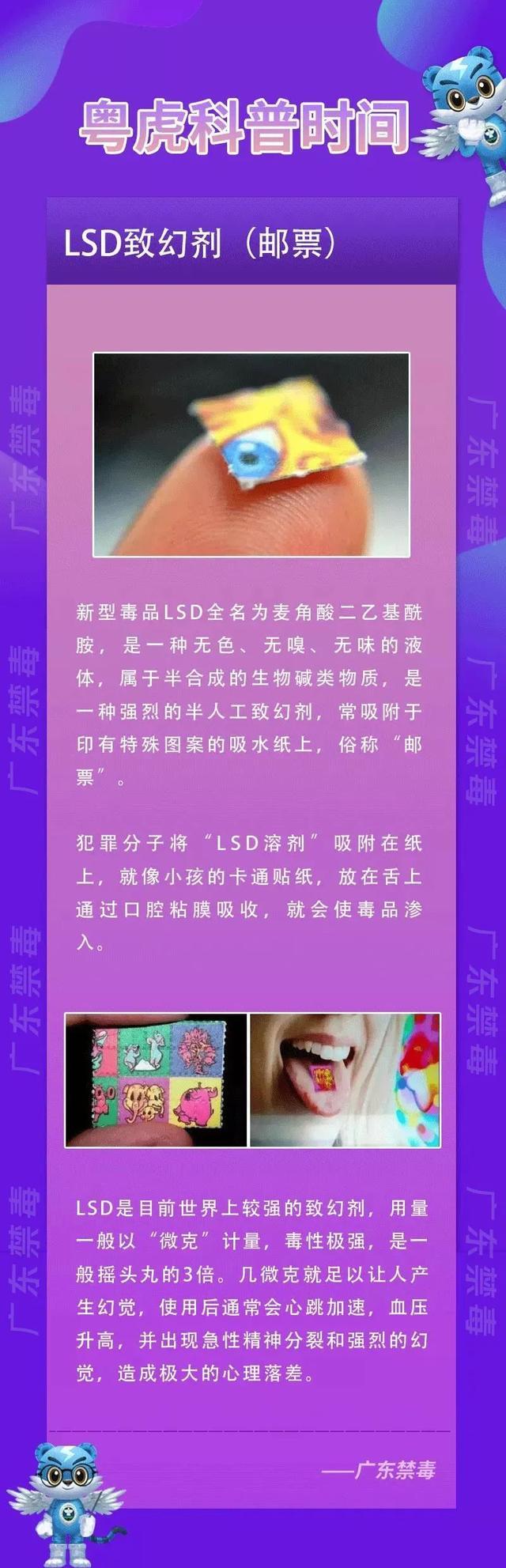 见到这种花花绿绿的小纸片，立即报警！