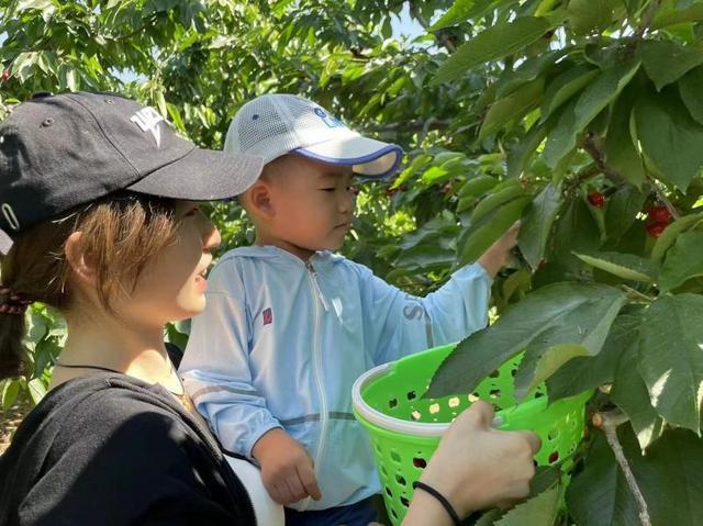 大樱桃登录直播间 昌平区十三陵镇涧头村走出电商助农捷径