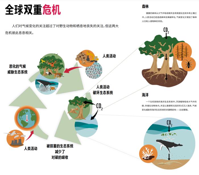 国际生物多样性日丨关于生物多样性你需要知道什么