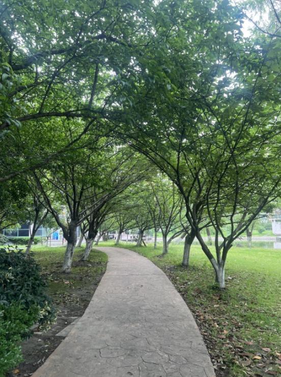 草地如地毯，出门即花园！闵行这些小区“植得”