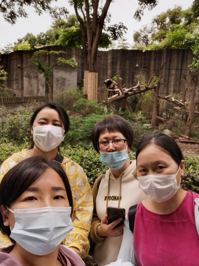 为救人错过看“花花”！在成都熊猫基地救人的医护人员找到了