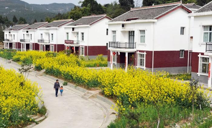 首批自然资源节约集约示范县（市）巡礼 | 四川苍溪县：深挖土地潜力 赋能高质量发展