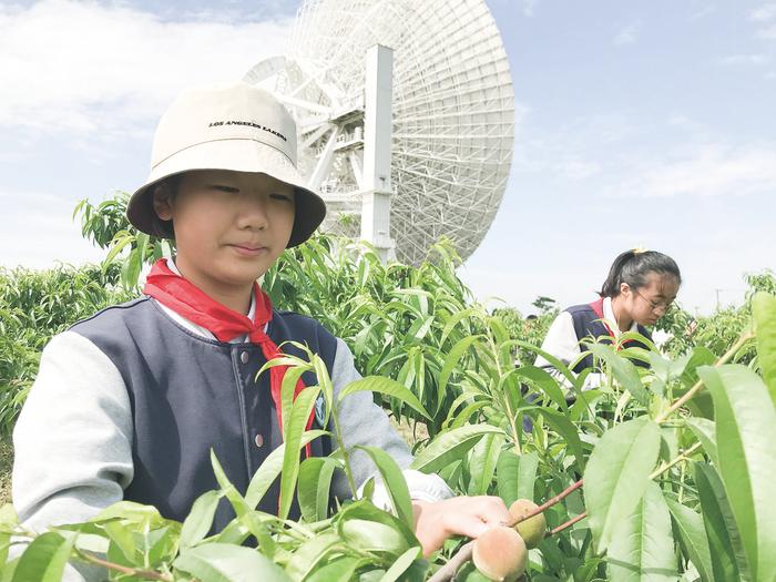 掌握农事知识 感悟劳动价值  佘山镇推出“桃花源里的幸福课”