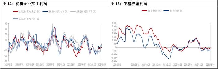 内外盘玉米价格走势继续分化 玉米低位震荡