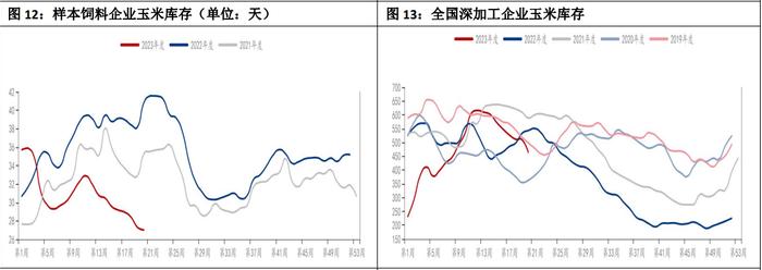 内外盘玉米价格走势继续分化 玉米低位震荡