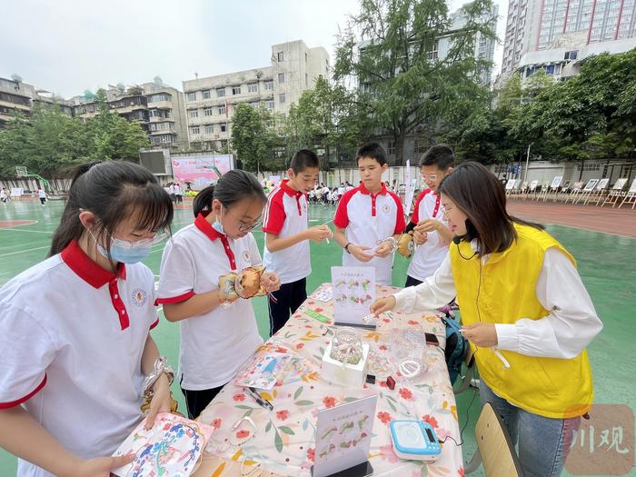 成都市将建立全市学生心理健康信息化管理服务平台