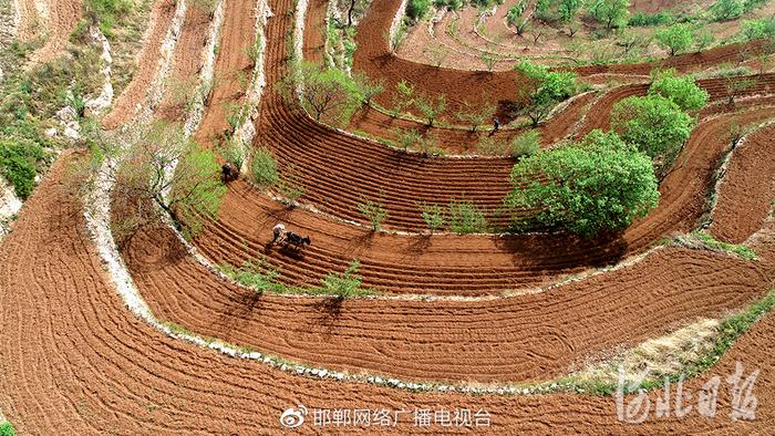 恭喜！邯郸涉县旱作石堰梯田系统获联合国粮农组织授证