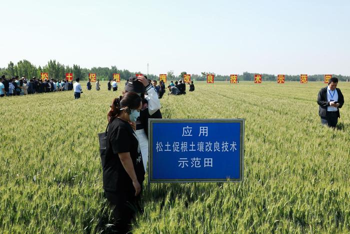 推进耕地质量提升在行动 第四届全国土壤调理与修护高层学术研讨与论坛会议见闻