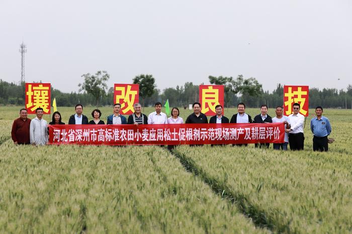 推进耕地质量提升在行动 第四届全国土壤调理与修护高层学术研讨与论坛会议见闻