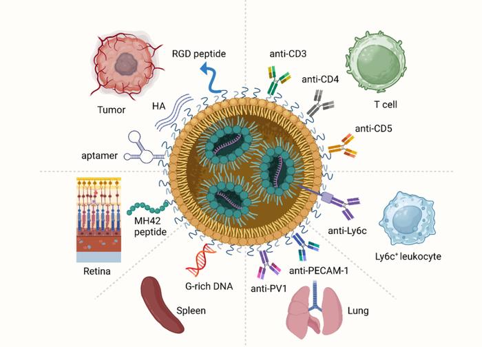 程强/魏妥发表长篇综述：详解mRNA-LNP在癌症治疗中的应用与展望