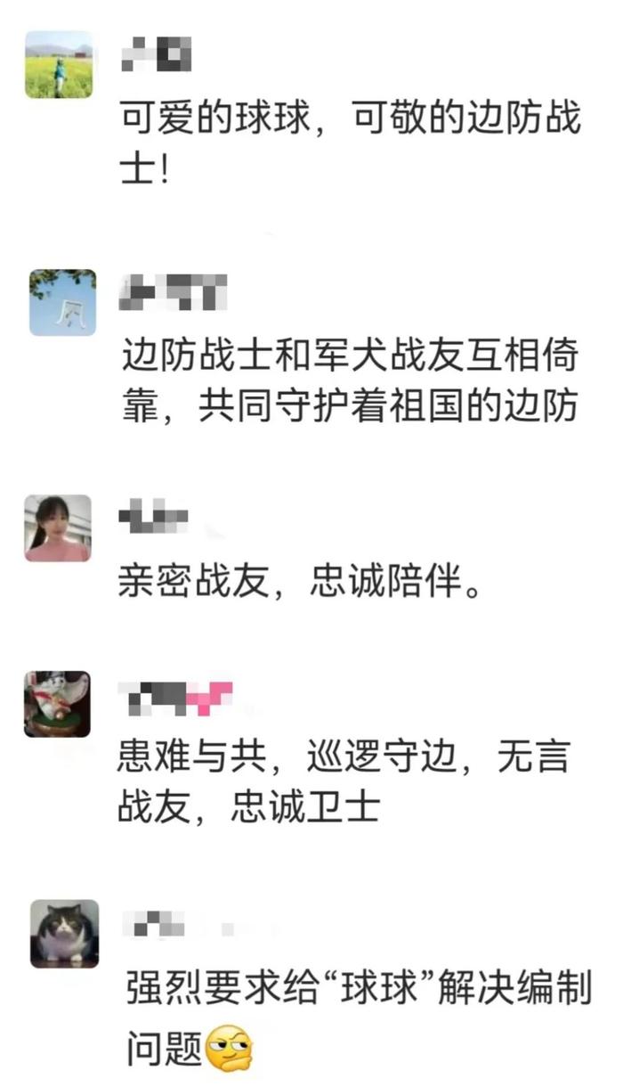 今天讲述《亲密战友》主角——“球球”的故事