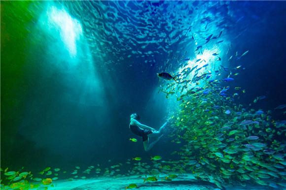 鲸豚湾水世界5月27日开园 开启夏日耍水模式