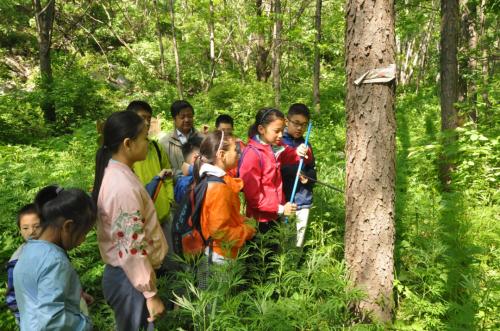 科学家带你去科考 森林/草原/沙地 暑假去做“少年生态学家”