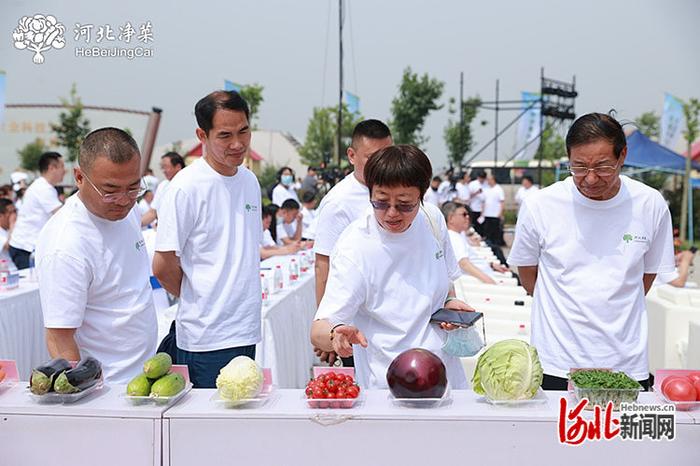 “河北净菜”进京直通车首发仪式高清组图来啦！