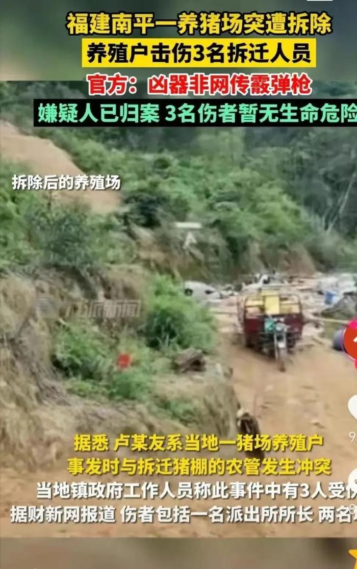 福建养猪场被强拆后续：拆错了！究竟何人举报？损失谁来承担？