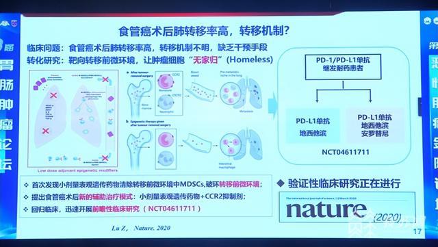 多种治疗手段“新进展” 带来胃癌治疗“新策略”