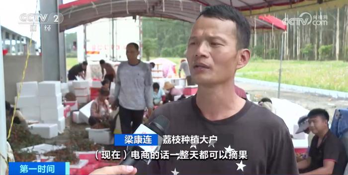 给“荔”！给力！广东，开启“甜蜜时刻”！