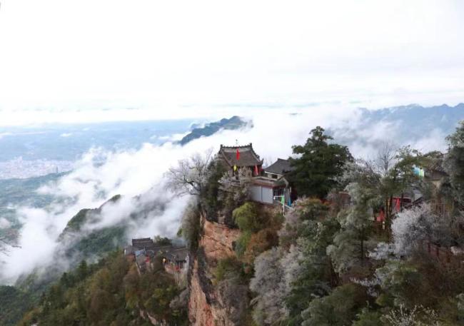 乘势而上 砥砺前行——甘肃省文化旅游发展大会在成县引发热烈反响