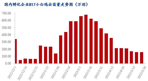 Mysteel解读：与其它替代品对比走势，浅析近期817鸡苗行情变化