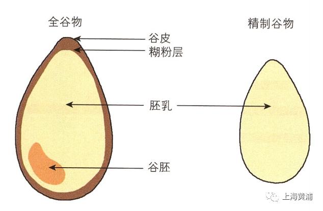 什么是全谷物食物？这几类人不宜大量食用