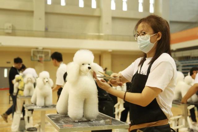 北京农业职业学院：特色高水平动物医学专业群为城市动物卫生安全保驾护航