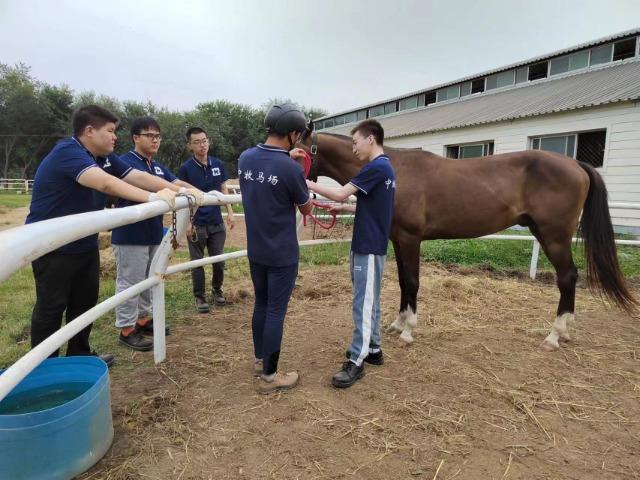 北京农业职业学院：特色高水平动物医学专业群为城市动物卫生安全保驾护航