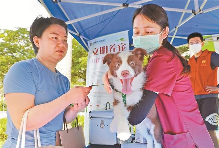 宠物医生给爱犬义诊。