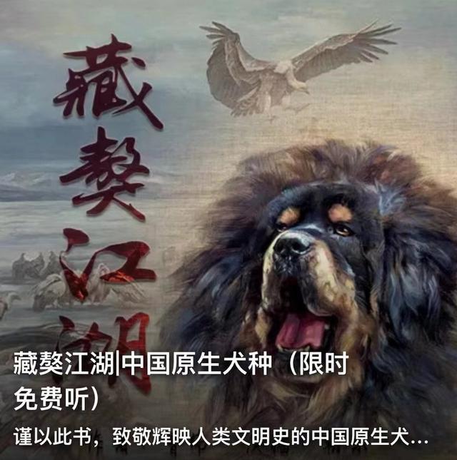 重庆作家曾伟长篇小说《藏獒江湖》在喜马拉雅首播