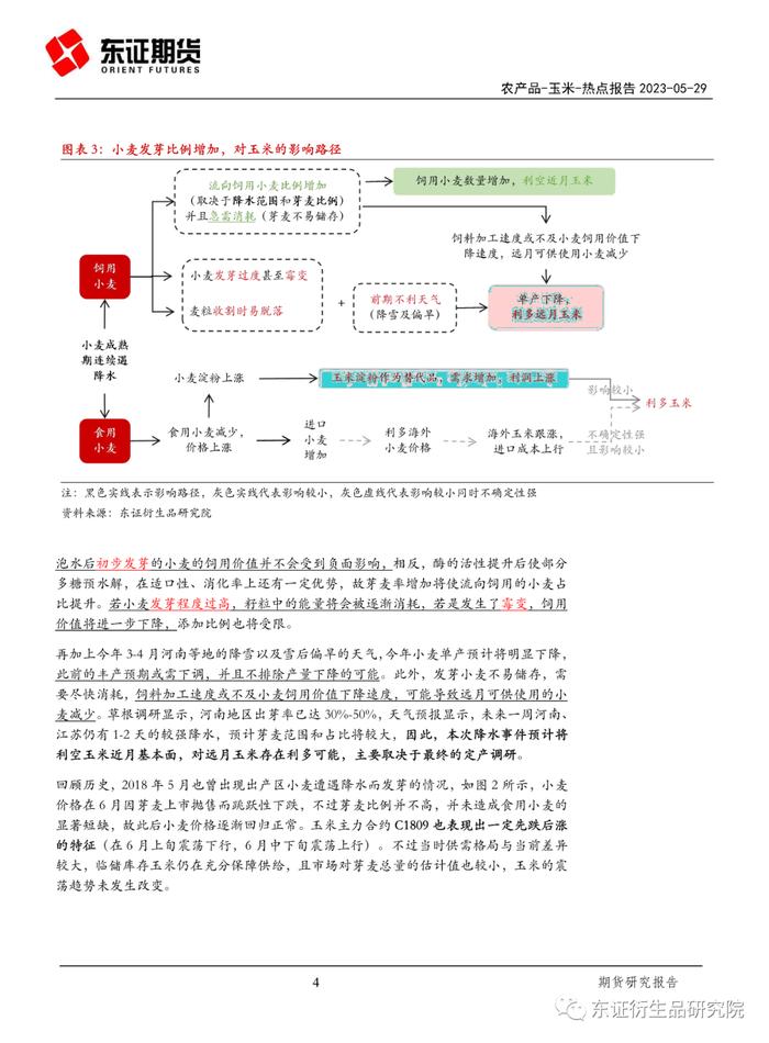 【热点报告——玉米】芽麦比例增加对玉米的影响解读