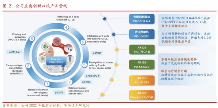 【华西医药崔文亮团队】️《康方生物-B深度报告：双抗龙头药企，迎来商业化收获期》