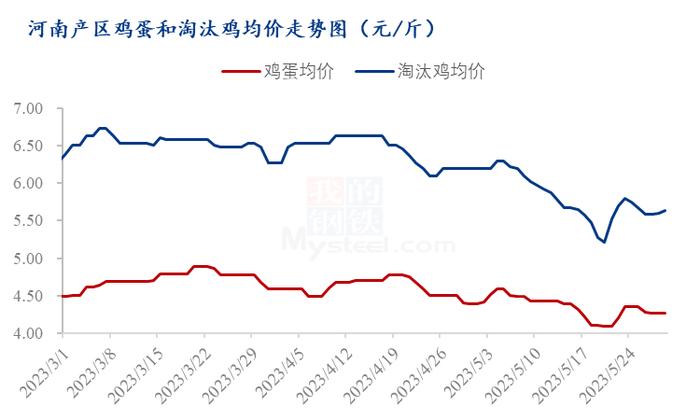 Mysteel解读：5月河南淘汰鸡价格现低谷，6月或仍显弱势