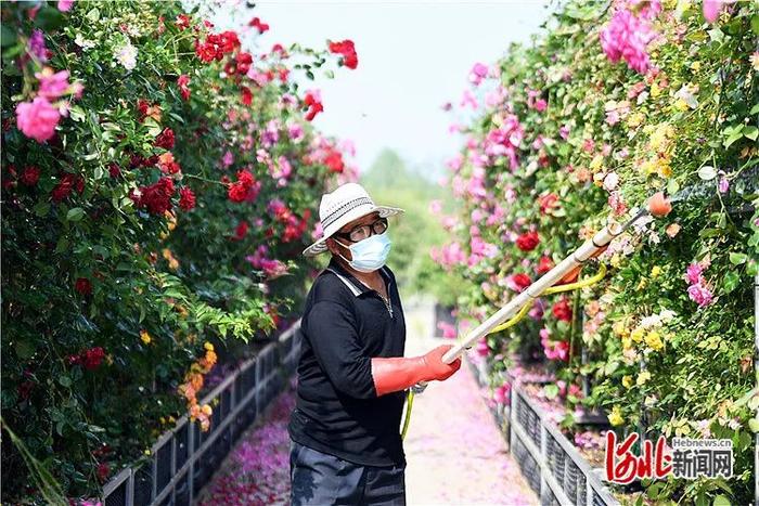 廊坊广阳：打造特色农业园区促致富