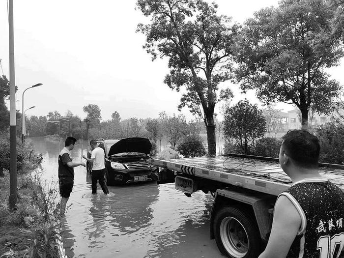 河渠溃堤下游被淹，两辆汽车泡在水中