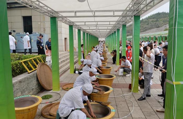 贵州省第一届职工职业技能大赛——“朵贝贡茶杯”手工制茶、古树茶加工技能大赛开赛
