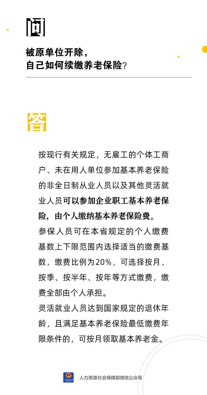 【人社日课·5月31日】被原单位开除，自己如何续缴养老保险？