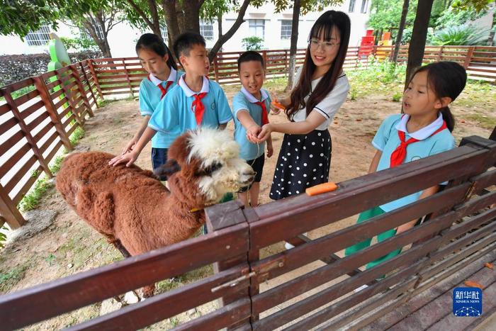 “心语花溪”呵护学生心理健康