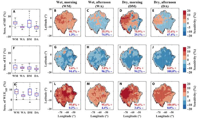 Science Advances | 南京大学地理学科张永光课题组在全球变化和碳循环领域取得重要进展