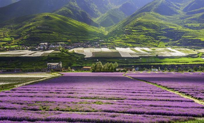 三大主题的夏日旅游上线，安逸四川有了新耍法