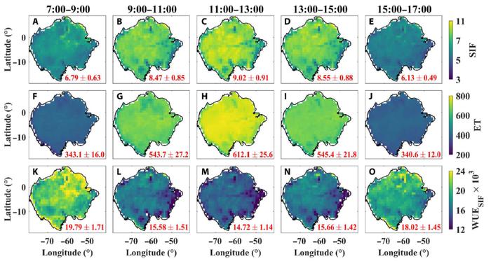 Science Advances | 南京大学地理学科张永光课题组在全球变化和碳循环领域取得重要进展