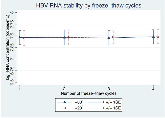顶刊鉴析 | 探索HBV RNA在不同条件下的稳定性差异