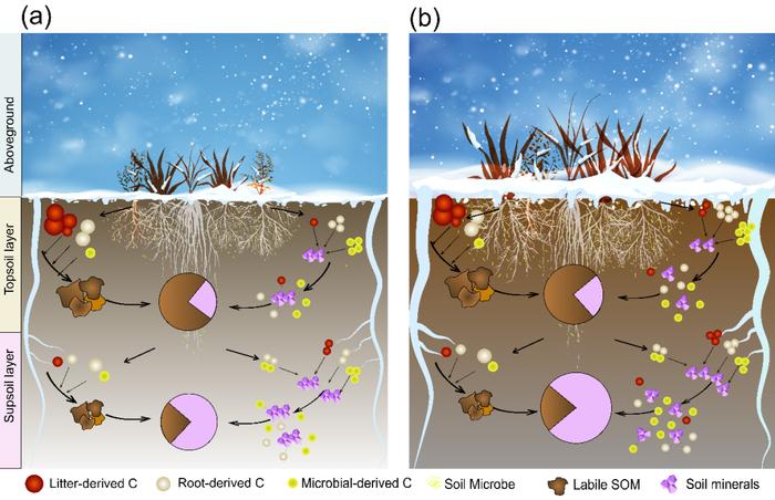 GCB | 中科院植物所刘玲莉研究组揭示增雪对温带草地土壤深层有机碳积累的促进作用