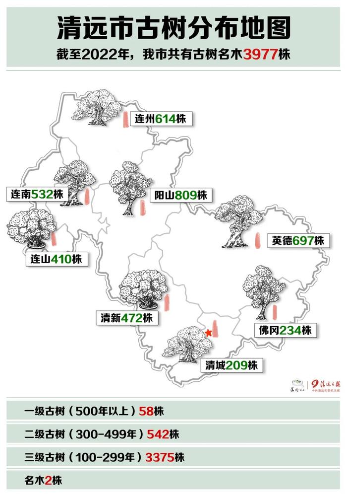 走！去看韩愈在清远种下的千年桂花树