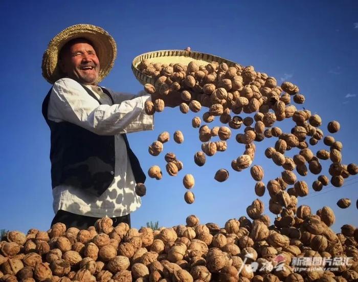 名单公示！新疆入选两项！