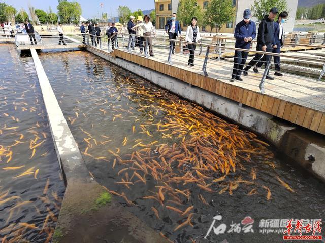 “赛里木湖论道”暨党媒网站总编辑看博州活动举行