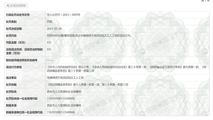 拖欠工人工资  大项生态建设有限公司被罚